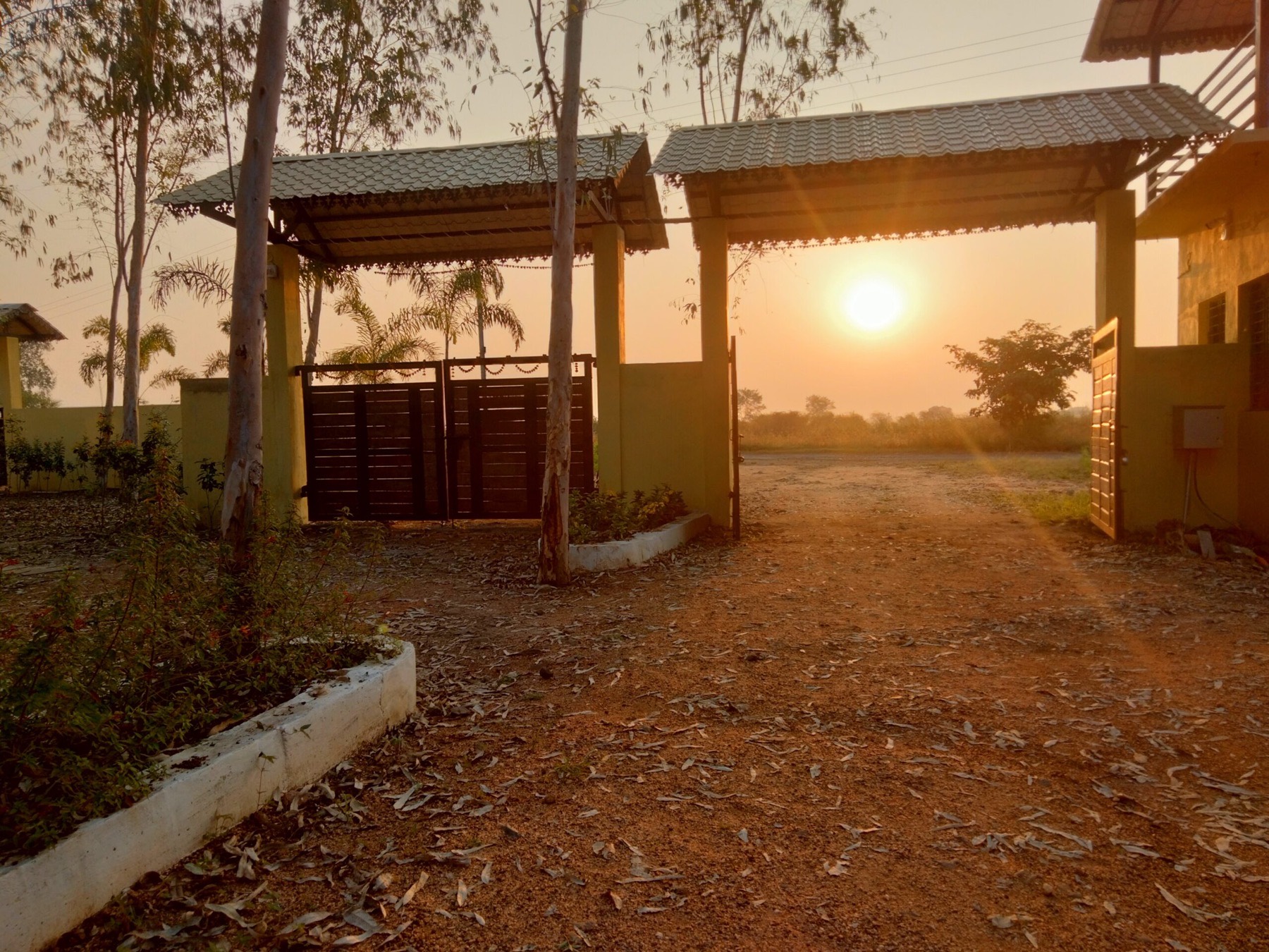 Early morning view before safari