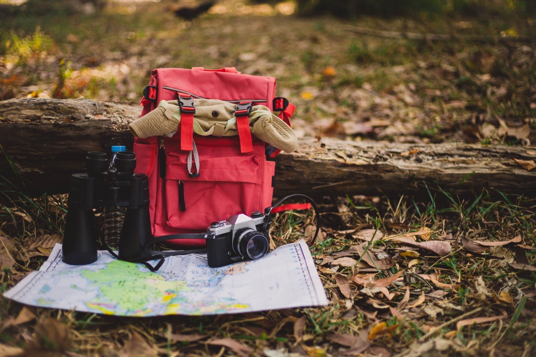Backpack and map ready for a jungle safari in Tadoba